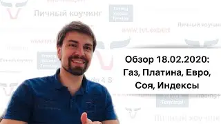 Обзор 18.02.2020  от разработчика TVT Тараса Святуна