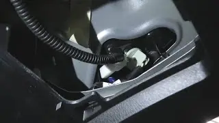 Toyota RAV4 (2013-2018): How To Replace Back Door Tail Light Bulbs?