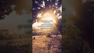 Poetry Shorts |Poetry About Faith | #poetrystatus #sayaripoetry #quotes #premkisayari #motivation
