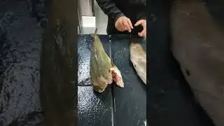 Bertorella