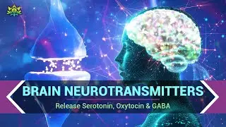 Activate Brain Neurotransmitters - Release Serotonin, Oxytocin & GABA - Healing Music Therapy