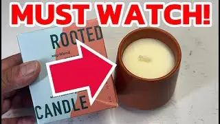 Modern Sprout Rooted Candle Grow Set, Rosemary & Cucumber (My Honest Review)