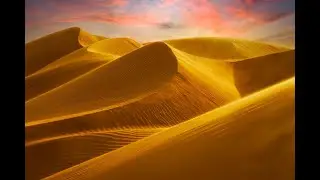 2016   NOVEMBRE   OMAN