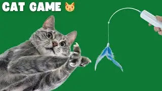 The Incredible Digital Cat Game 😻