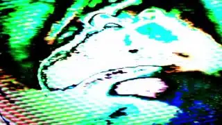 Feel rif by OSCILLATOR BUG