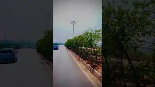 A Ride Through Miyapur's Green Corridor🌴 Duke 200 Experience #miyapurroad #greenery @ChitchatWithPJ