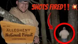 We got shot at searching for Bigfoot in the Allegheny National Forest!