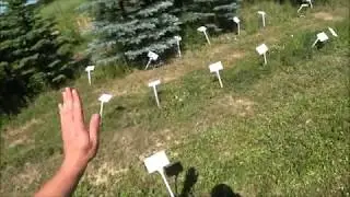 Armand Moneta - TEST na separacje / szybkość / reaktywność