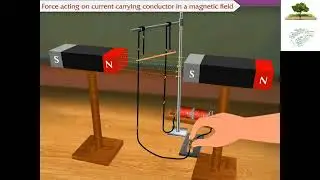 Force on a current carrying conductor in a magnetic field I Physics I Class - 10 I ICSE I CBSE