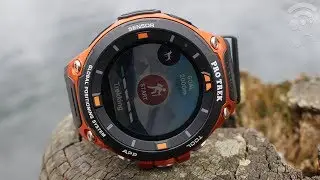 The 8 Best Survival Watches