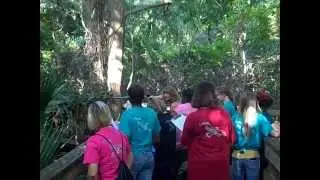 L.I.F.E. Program - 