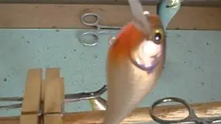 Custom Painted Baits Just cleared by Richard Prager aka 152nd Street Baits  ...and on The 
