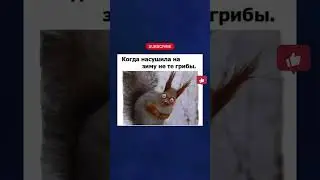 😂😂 #юмор #смехдослез #memes #шуточное #смешнойшортс