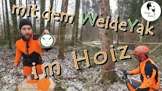 Beste Zeit zum Brennholz machen