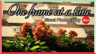 Singapore Street Photography - Leica M240 | One frame at a time
