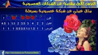 الدرس الأول | الشبكات العصبونية باستخدام الماتلاب | مقدمة | neural networks