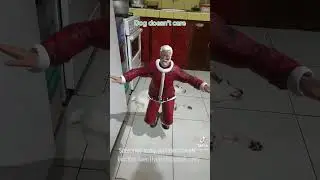 Dog doesn&rsquo;t care -Santa is dancing