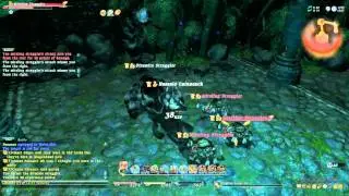 FFXIV - WHM level 30 job quest battle