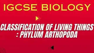 Phylum Arthropoda in One Shot ⚡ | Classification of living things | Must-Know IGCSE Biology Topic