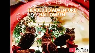 Fall Season at the Bellagio Conservatory and Botanical Garden 
