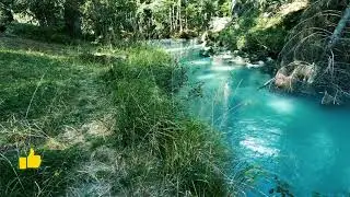 Nature Whatsapp Status Video || River Status Video ||Relaxing music ||Naturehab