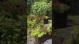 Large Raised Bed Kitchen Garden with Deer Fence, Pollinator Garden Planted with Vegetables, Flowers
