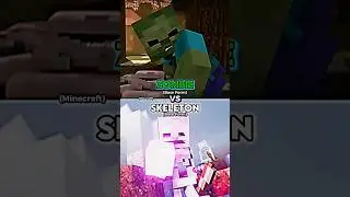 Zombie vs Skeleton