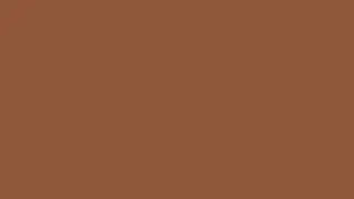 A marsala screen for 12 hours! (Pantone colour of the year 2015) #955A38