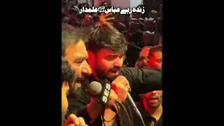Zinda rhy Abbas Nadeem Sarwar Noha Live #alijee #alishanawar #snadeemsarwar #alijeenoha #aj2025