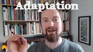 Adaptation to the new situation