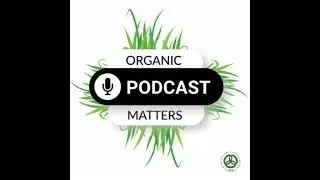 Season 4: Outwintering beef cattle on cover crops and growing crop mixes