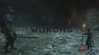 See Through Madness - Venom Daoist | Black Myth: Wukong, Confront the Sage, All 9 Curses, No Damage