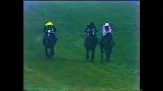 1989 Castleford Chase (Limited Handicap)