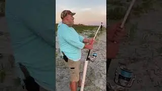 #sharks #sharkfishing #landbasedsharkfishing #ocean #charlestonsc #fishing #beach