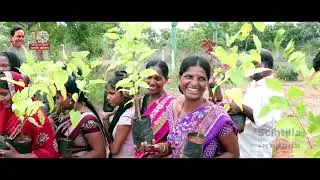 Documentary Film makers in Hyderabad  | Telangana Haritha Haram Project | Scintilla Kreations |