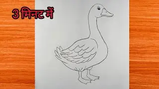 How To Draw A Duck. Dick Drawing Easy Trick Stap by step. Duck 🦆🦆/