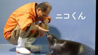 鳥羽水族館で大人気!
