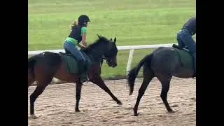 Honor AP/Angelos Ashes filly April &lsquo;25 Training