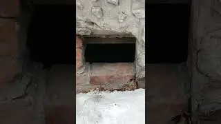 +901р. Дмитрий Александрович П. СПАСИБО!!! на Сбербанк 2202203654418625 Елена К. 11 февраля 2026г.