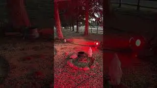 No wildlife showed up, stream disconnected just night nature sounds
