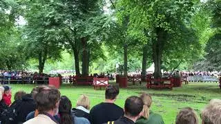 Longines FEI EM, Gothenburg 2017 - Driving Marathon in Slottsskogen