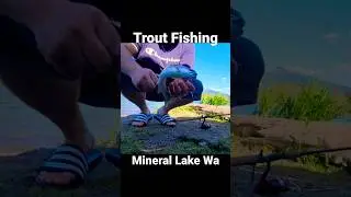 Trout Fishing Mineral lake Washington