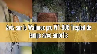 Avis sur la Walimex pro WT-806 Tr&eacute;pied de lampe avec amortissement &agrave; ressort I hauteur maximale 256c