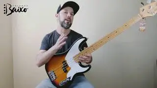 Falando Baixo - Review Baixo Tagima Woodstock TW66 Precision Bass - Diego Pessoa