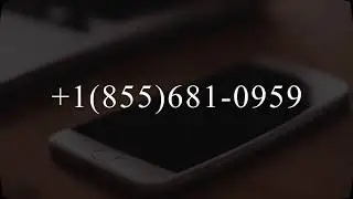 Los Angeles Web Design Company