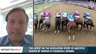 Preakness Stakes Preview and Predictions