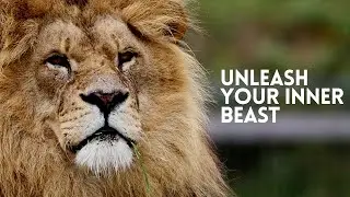 Unleash Your Inner Beast | Motivational Video