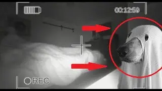SUMMONING GHOST AT 3AM (SCARY)!!!