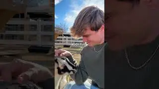 Я и не подозревала, что мне нужно это услышать 😭😭 Спасибо @milkandhoneyranch за гостеприимство!!