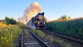Baloty słomy na polu i Ol49-69 z pociągiem 77236, 28.07.2022